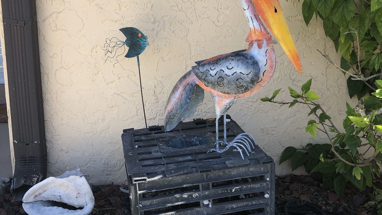 Photo of Outdoor in Port Charlotte - Charlotte Harbor
