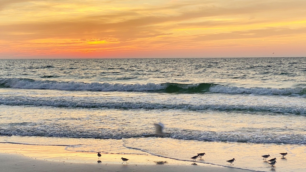 Photo of Others in Belleair Beach