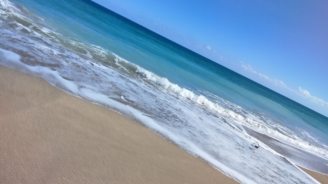 Photo of Others in Stuart