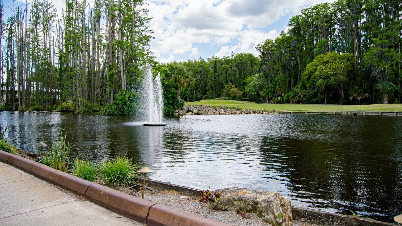 Photo of Others in Wesley Chapel