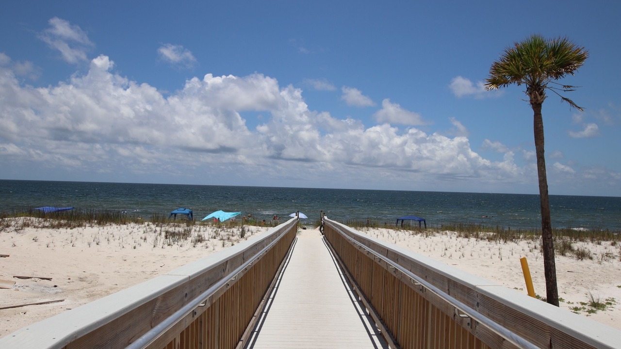 Photo of Others in Mexico Beach