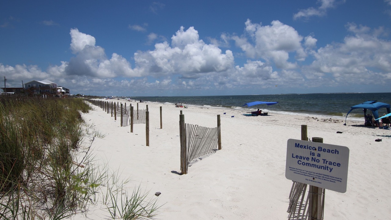 Photo of Others in Mexico Beach
