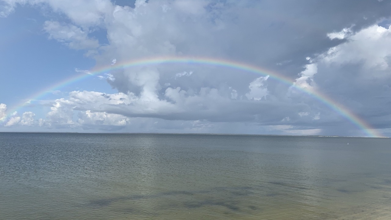 Photo of Others in Mexico Beach