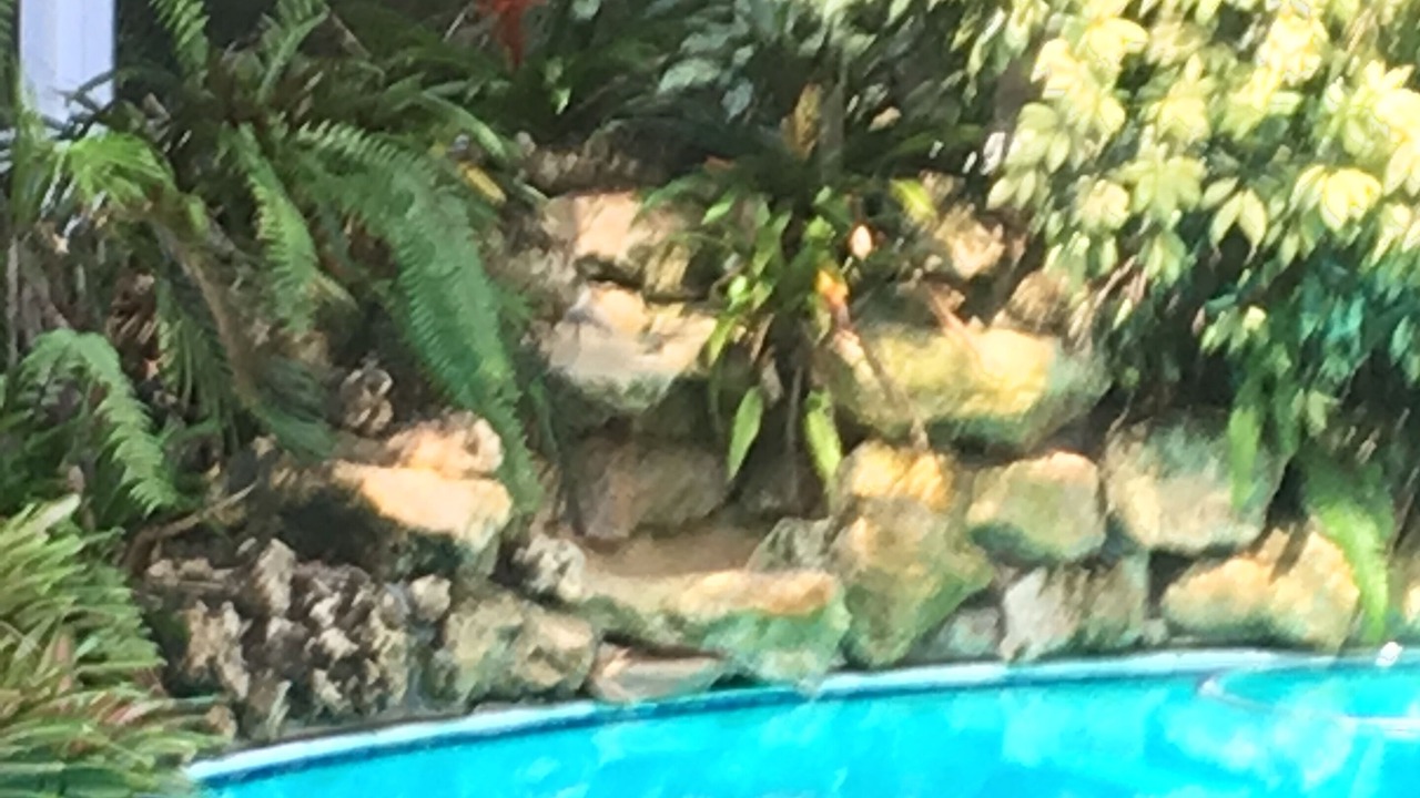 Photo of Outdoor in Hunt Club