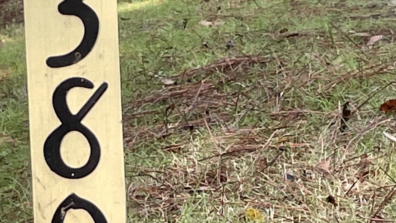Photo of Outdoor in Tomoka Farms