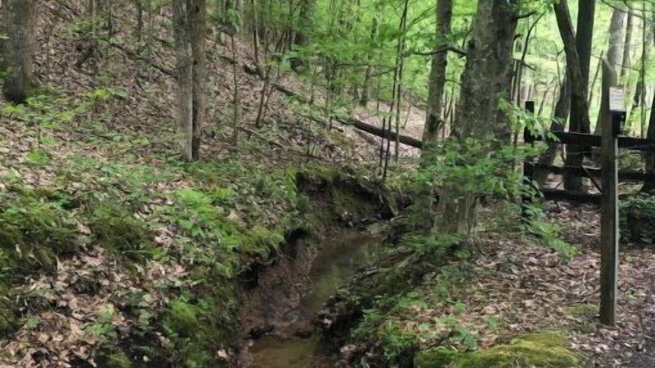Photo of Outdoor in Valley Head