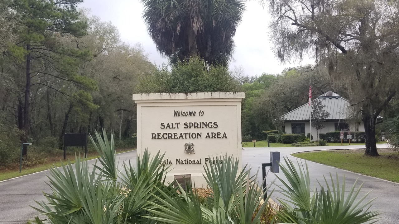 Photo of Outdoor in Salt Springs
