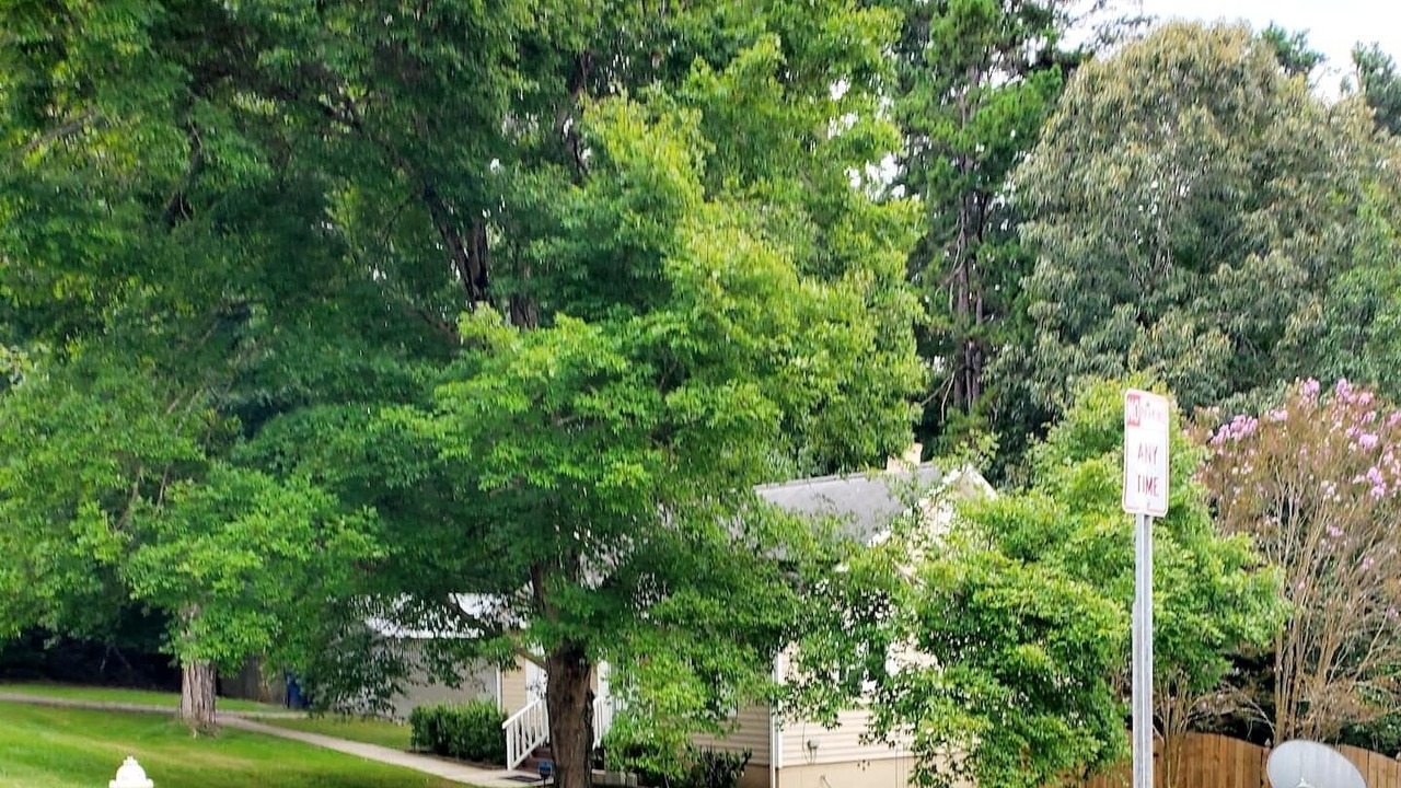Photo of Outdoor in Jamestown