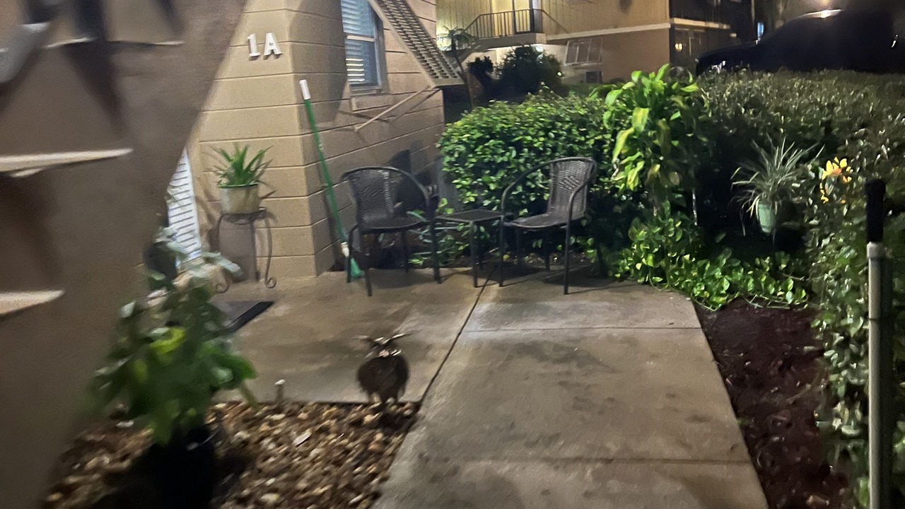 Photo of Outdoor in Deltona Lakes