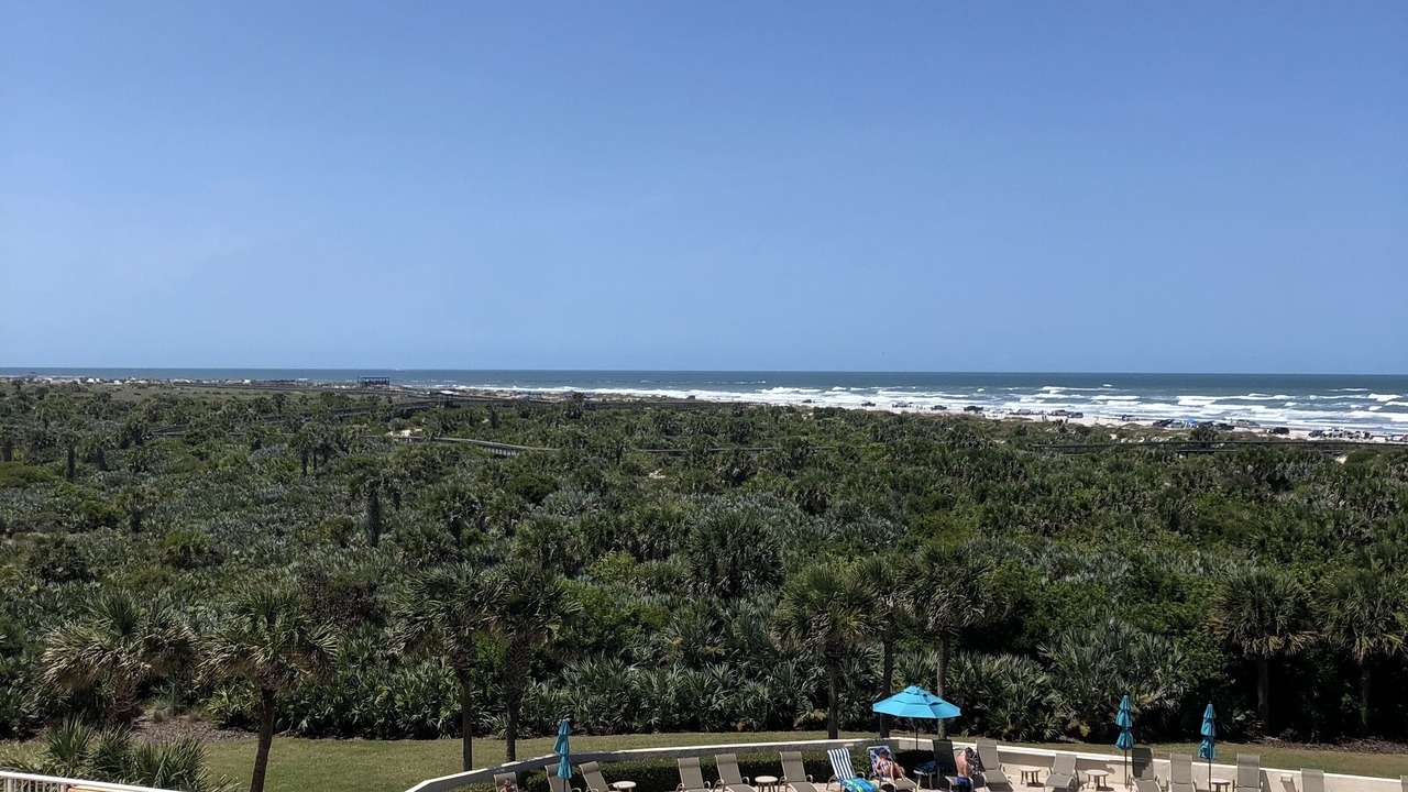 Photo of Outdoor in New Smyrna Beach