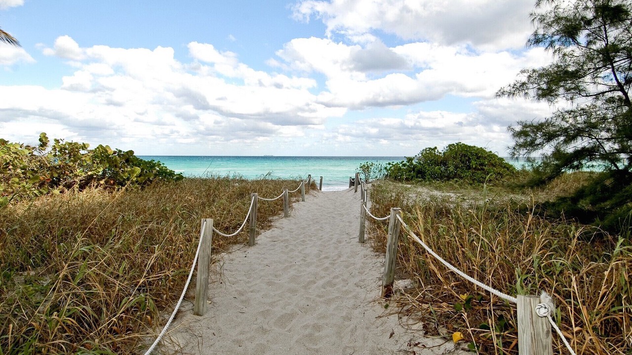 Photo of Others in Hallandale Beach