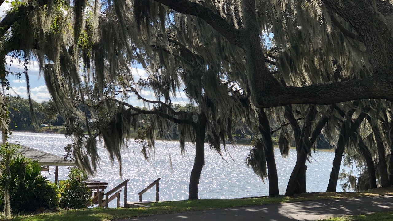 Photo of Outdoor in Florida South Atlantic Coast