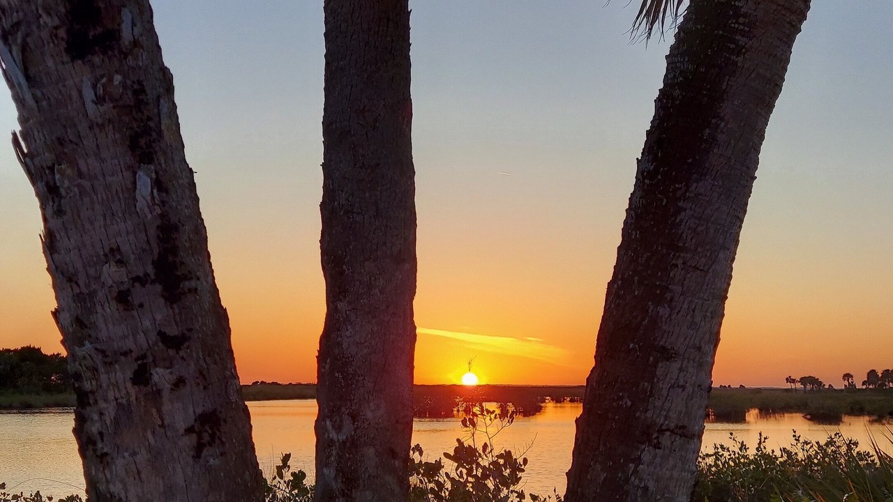 Photo of Others in Titusville