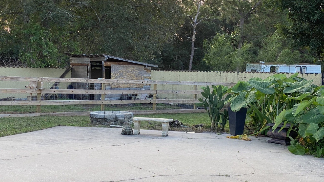 Photo of Outdoor in Tropic