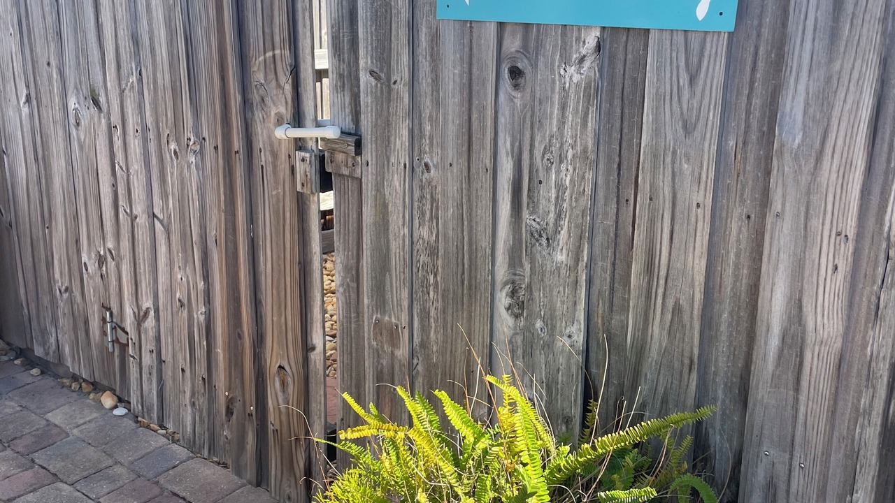 Photo of Outdoor in Cocoa Beach