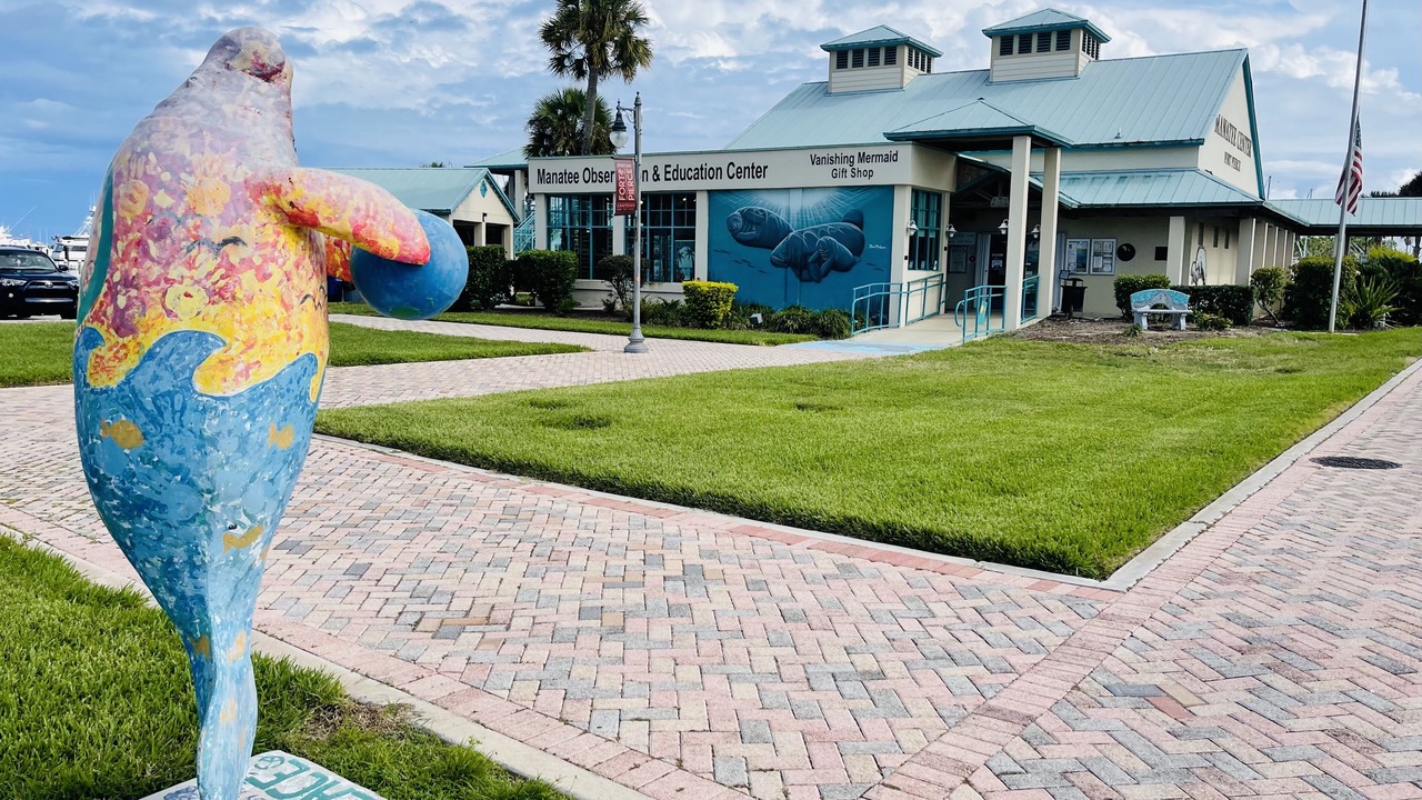 Photo of Outdoor in Fort Pierce