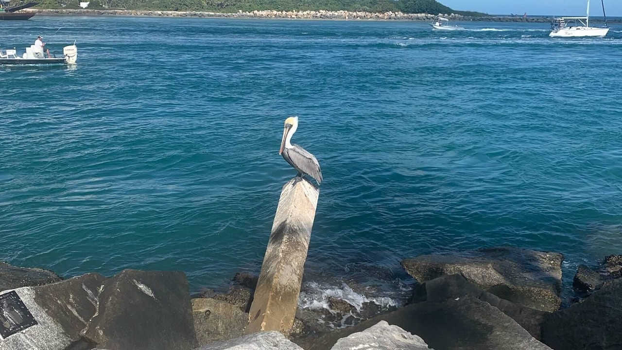 Photo of Outdoor in Fort Pierce