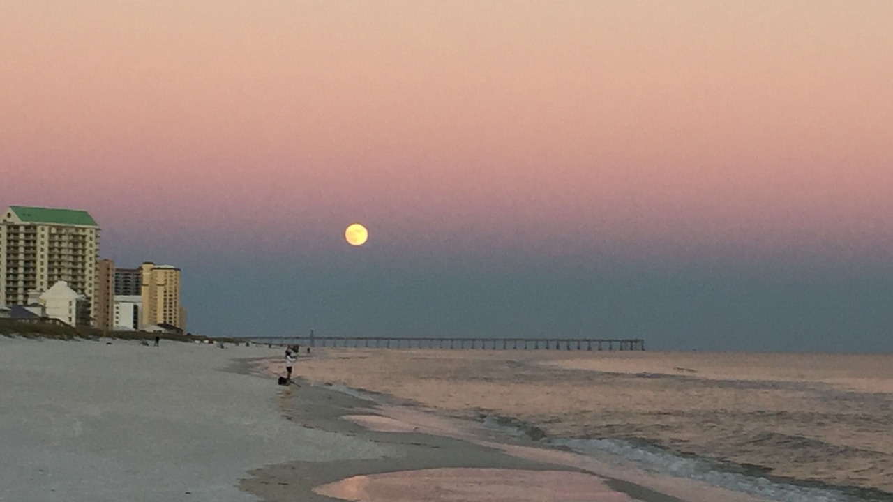 Photo of Others in Navarre Beach