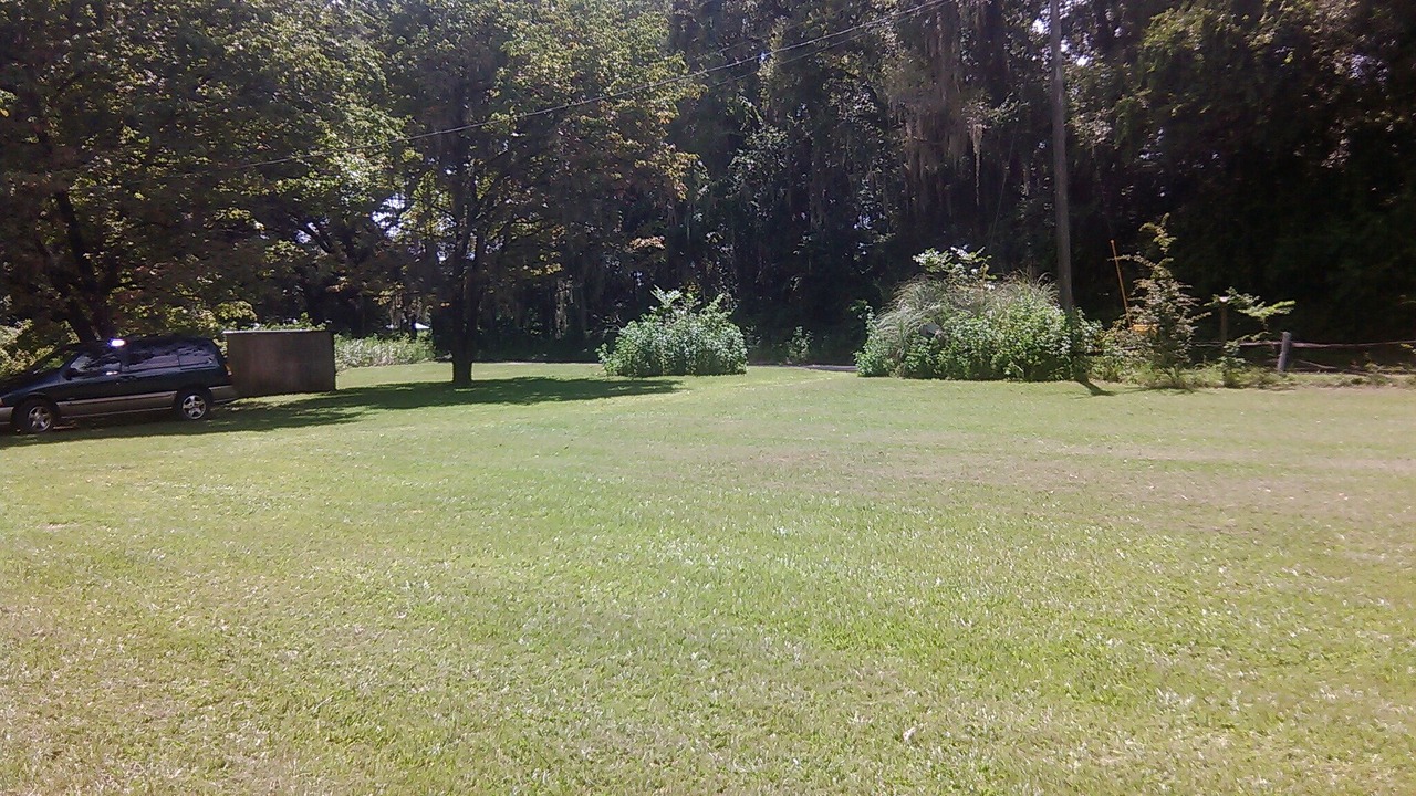 Photo of Others in Chiefland