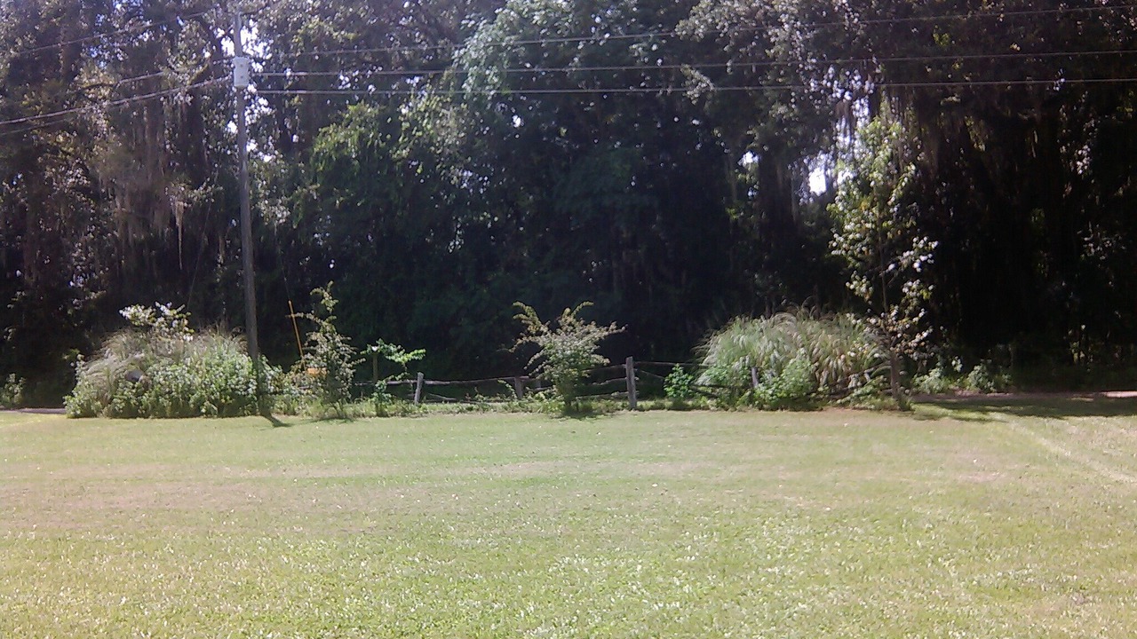 Photo of Others in Chiefland