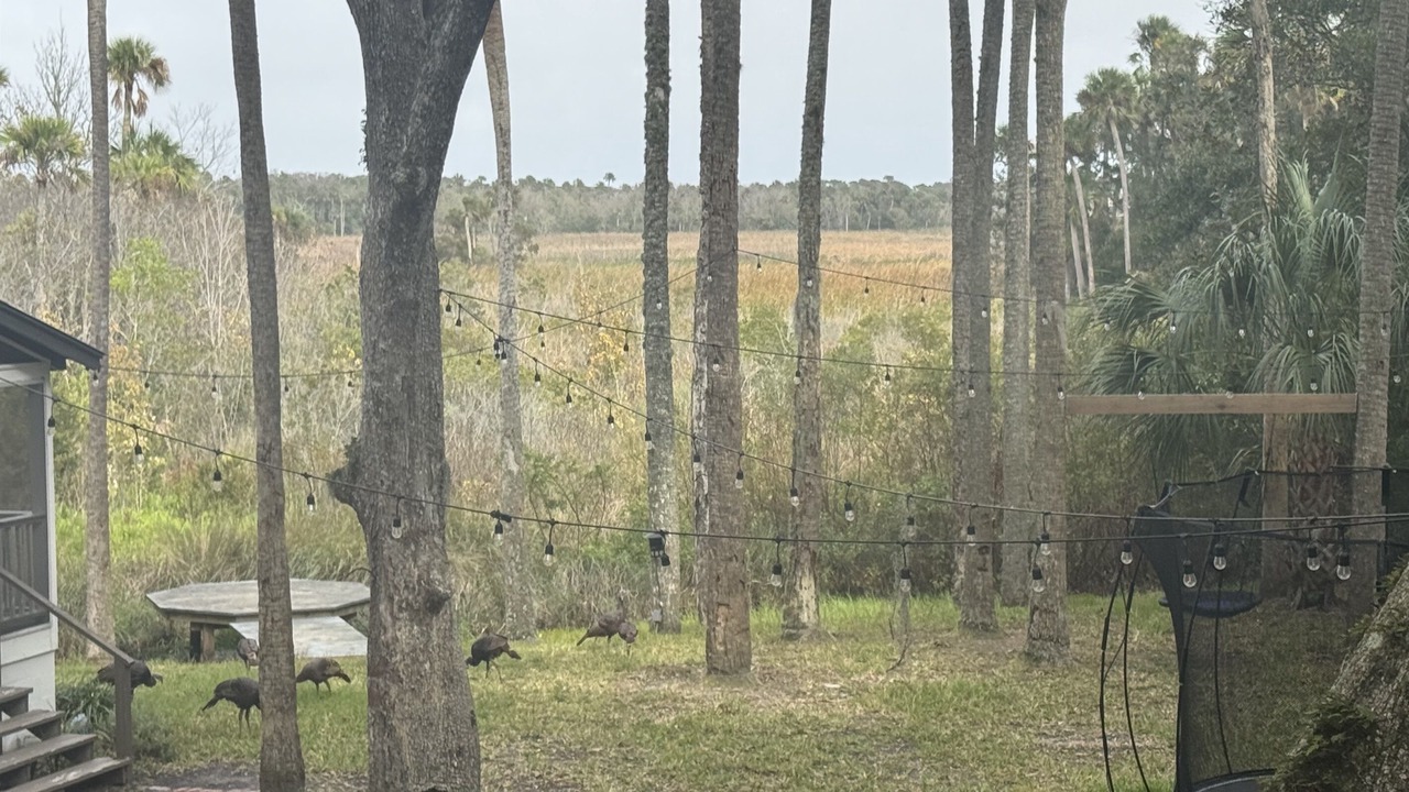 Photo of Outdoor in Ponte Vedra Beach