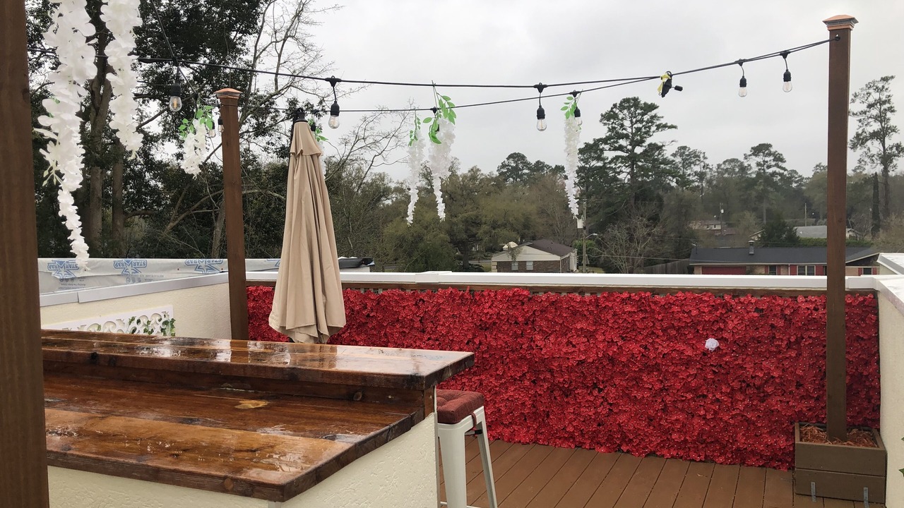 Photo of Outdoor in Tallahassee