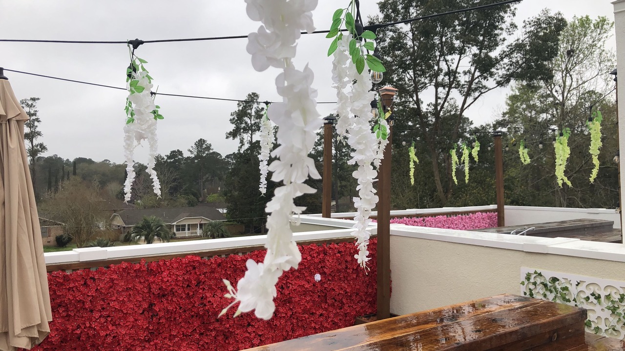 Photo of Outdoor in Tallahassee