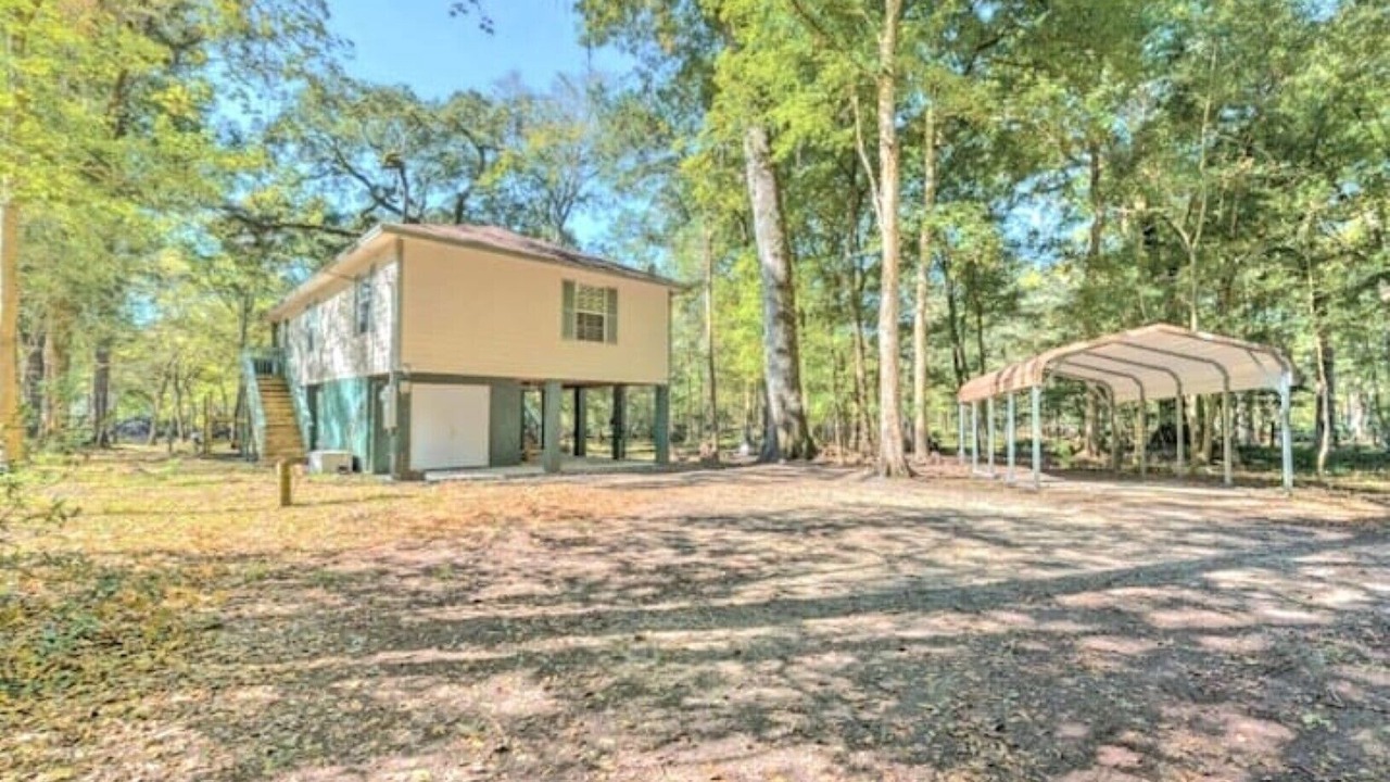 Photo of Outdoor in Fort White