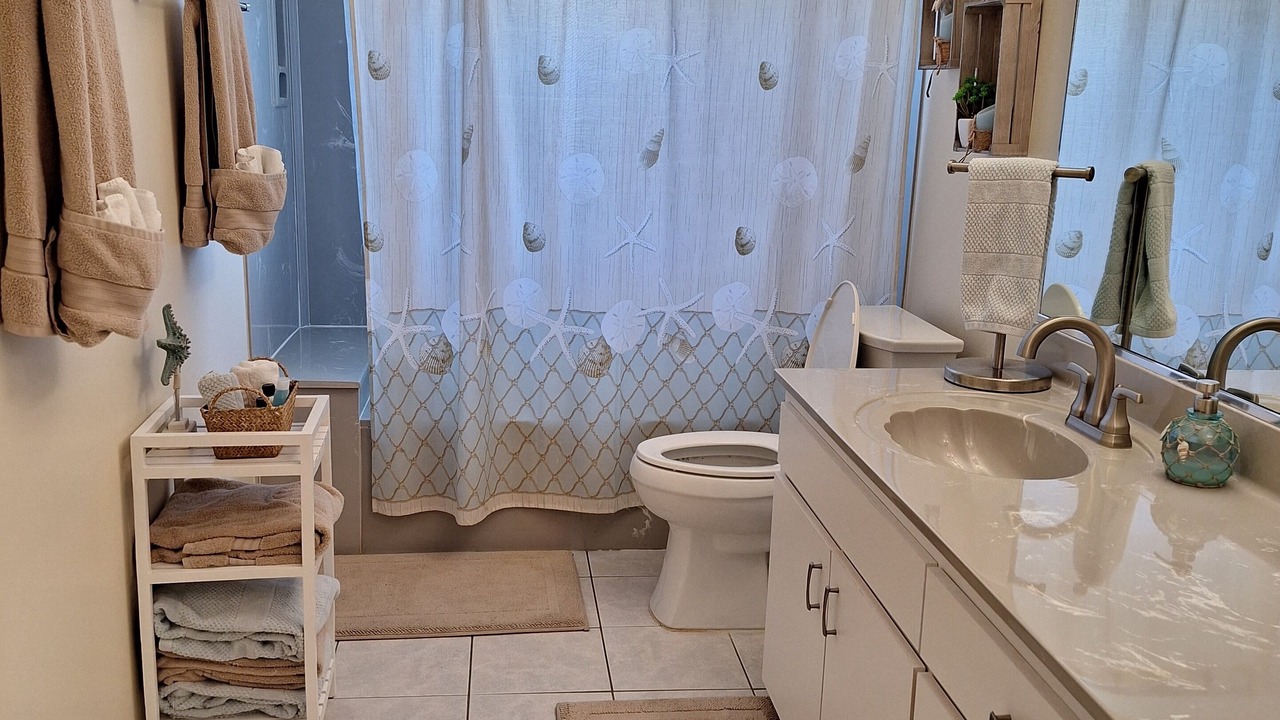 Photo of Bathroom in Palm Harbor