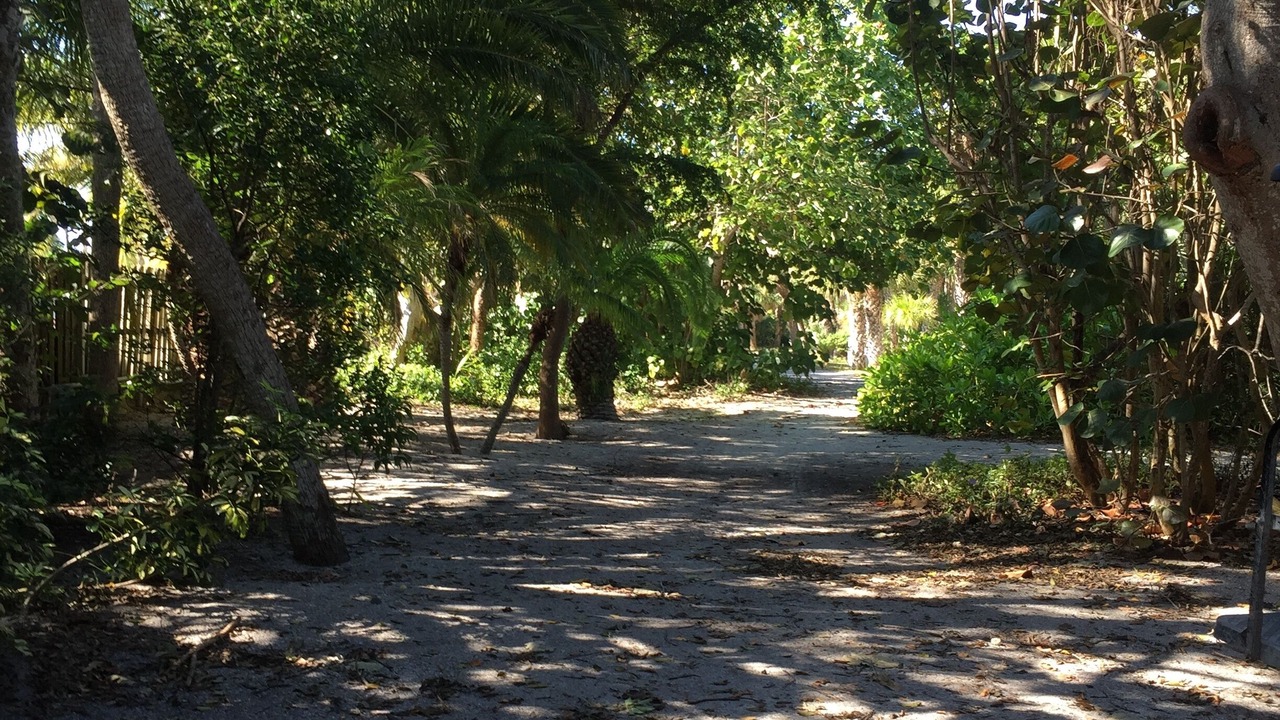 Photo of Outdoor in Safety Harbor Club