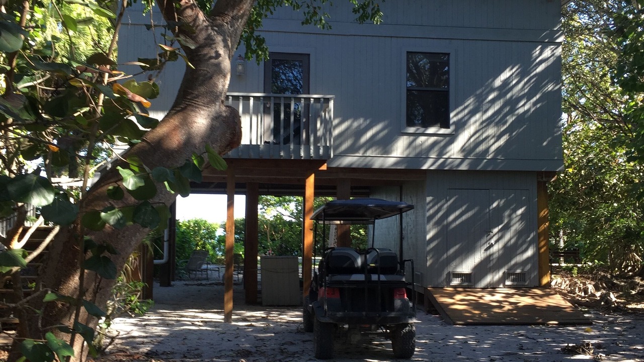 Photo of Outdoor in Safety Harbor Club