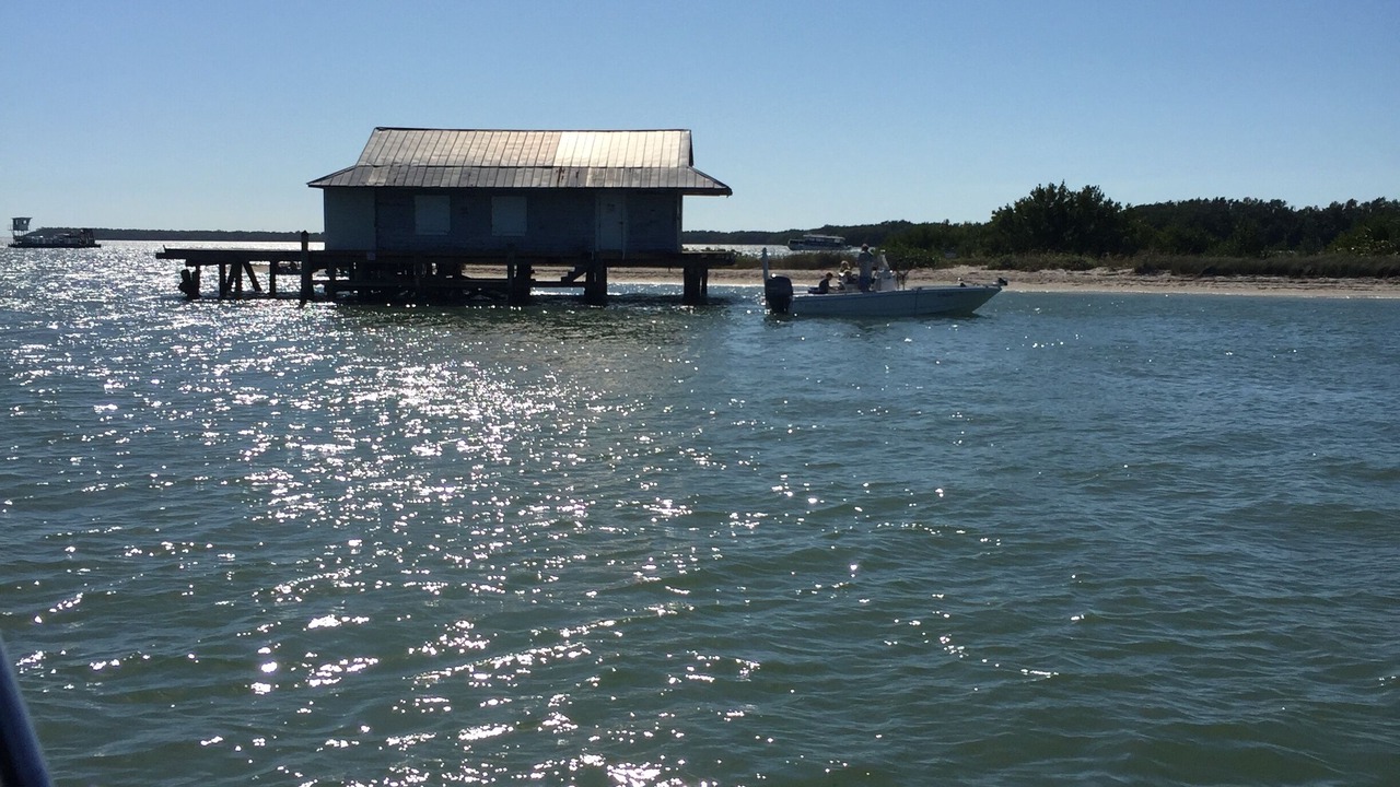 Photo of Others in Safety Harbor Club