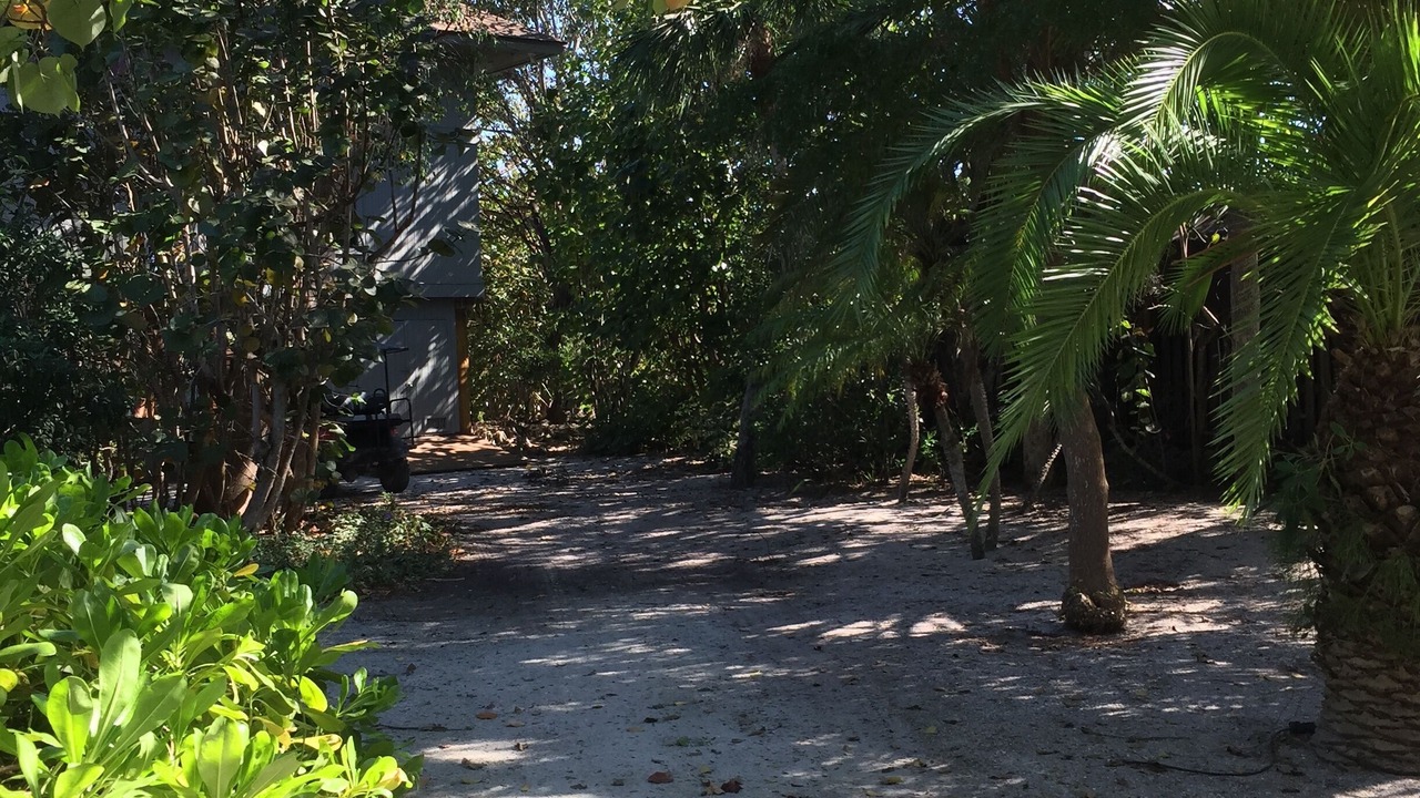 Photo of Outdoor in Safety Harbor Club