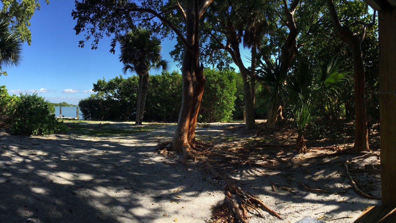 Photo of Outdoor in Safety Harbor Club