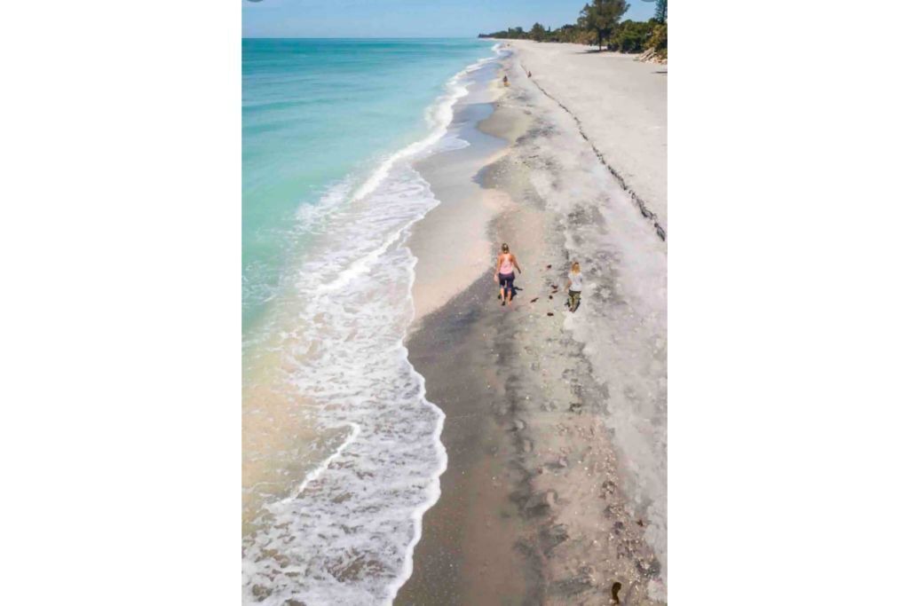 Photo of Others in Gulf Cove