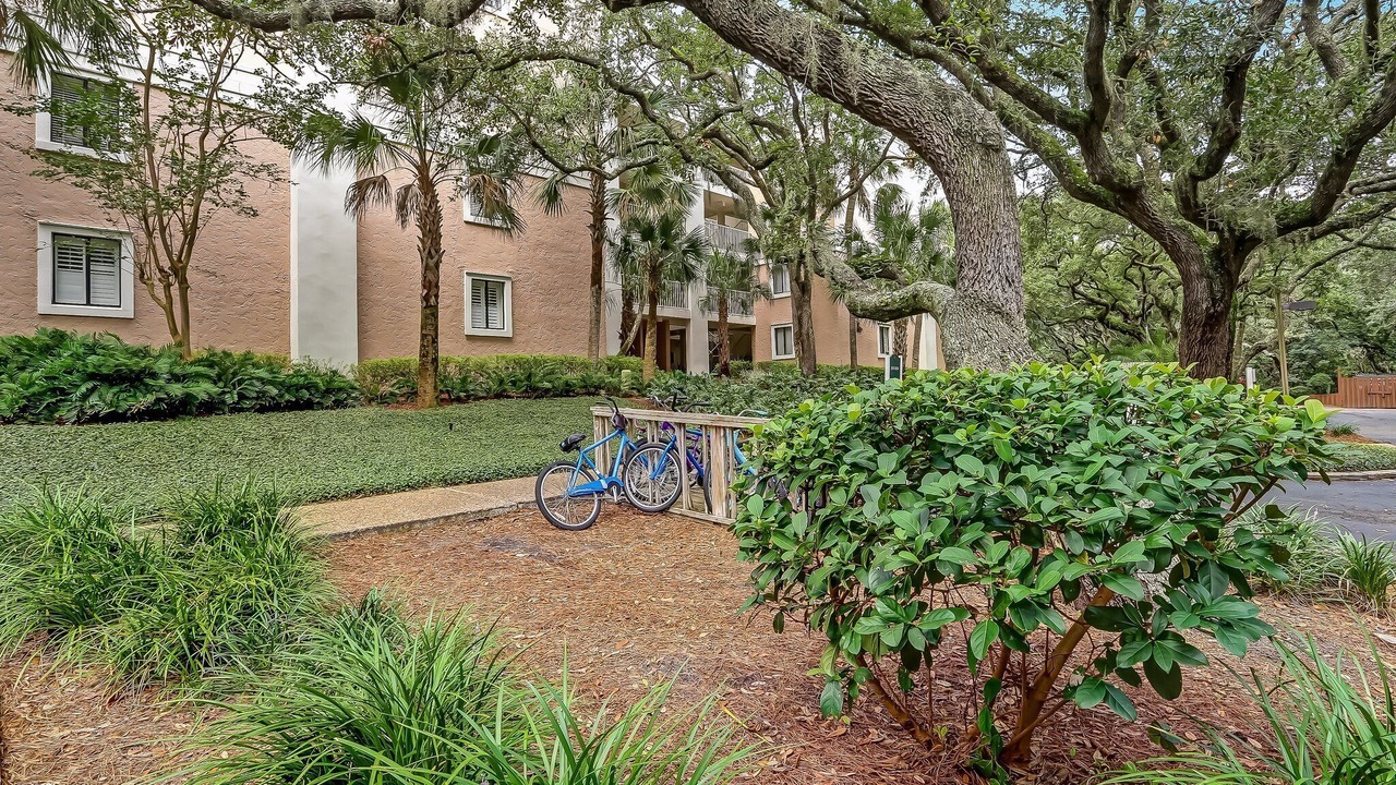 Photo of Outdoor in Fernandina Beach