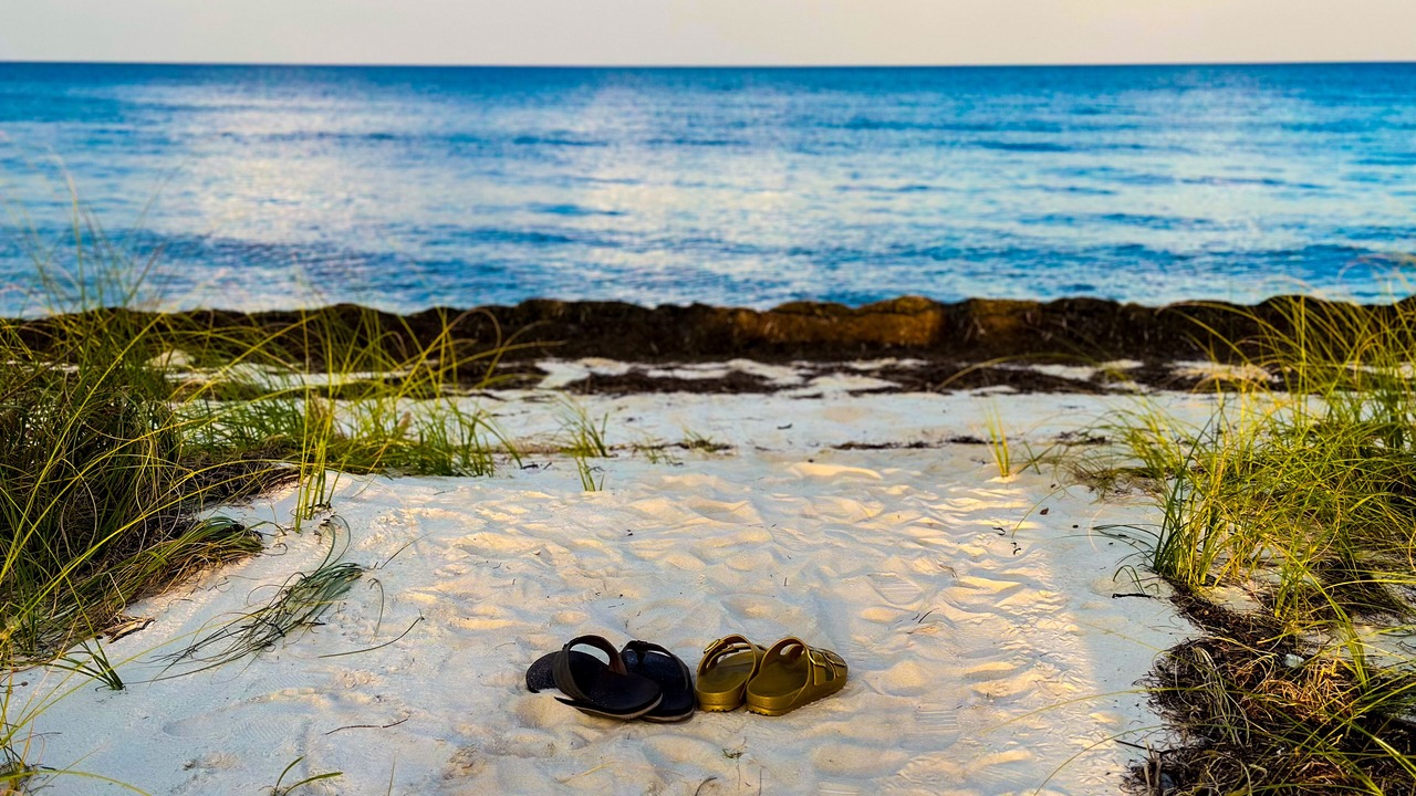 Photo of Others in Alligator Point