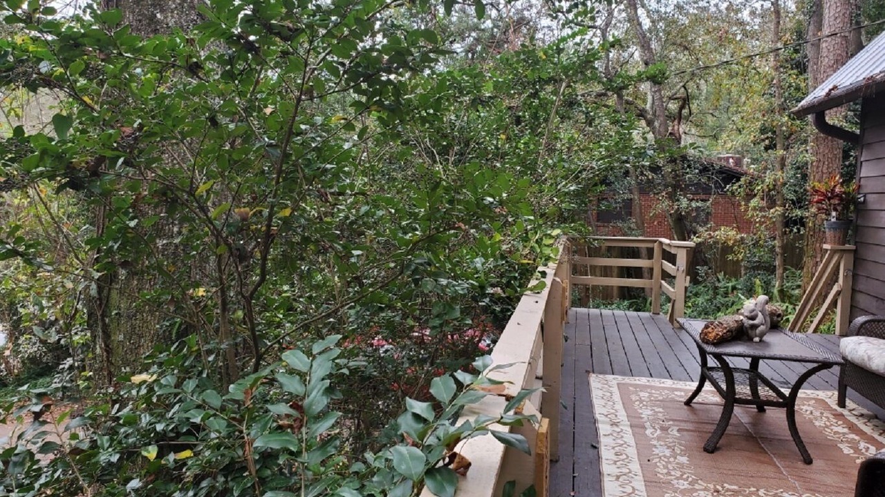 Photo of Outdoor in Tallahassee