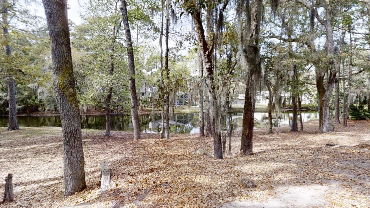 Photo of Others in Sea Pines