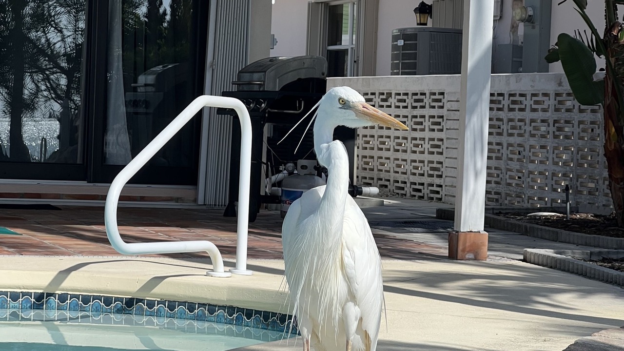 Photo of Outdoor in Little Venice