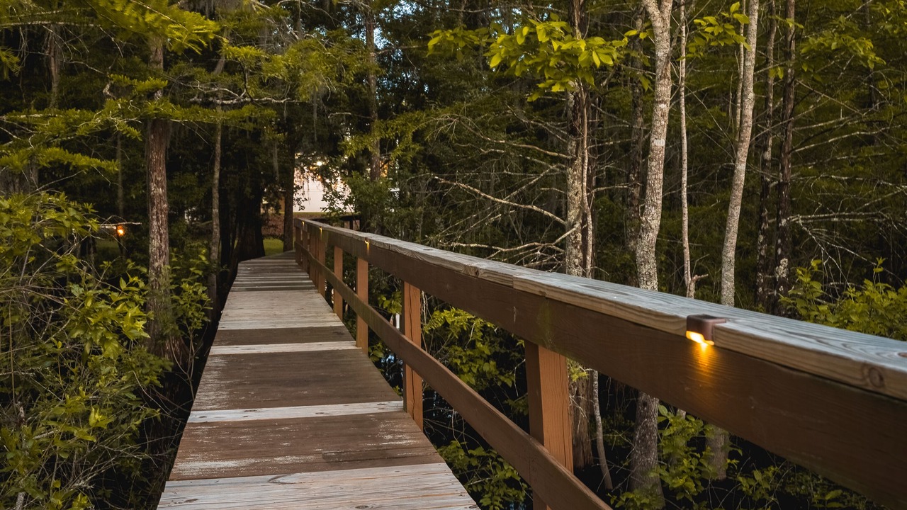 Photo of Outdoor in Tallahassee