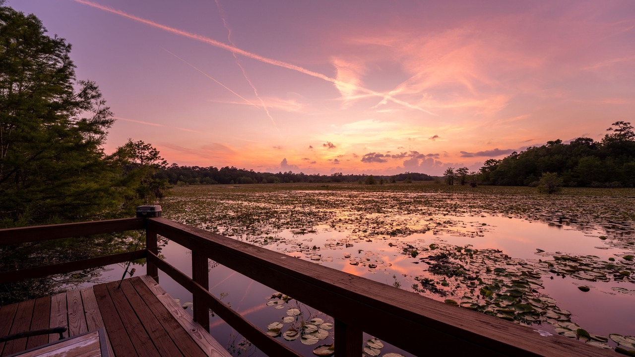 Photo of Outdoor in Tallahassee