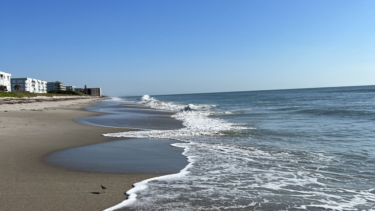 Photo of Others in South Patrick Shores