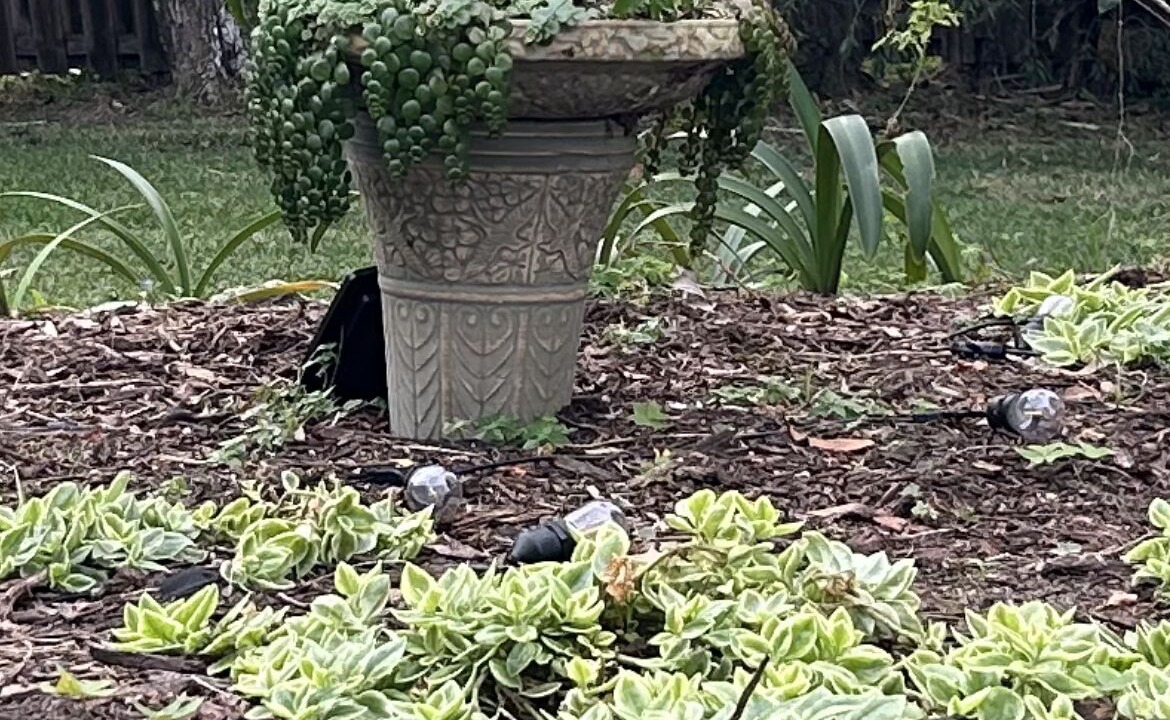 Photo of Outdoor in Indian River Estates