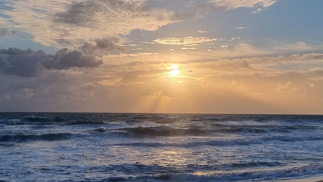 Photo of Others in Port Saint Lucie