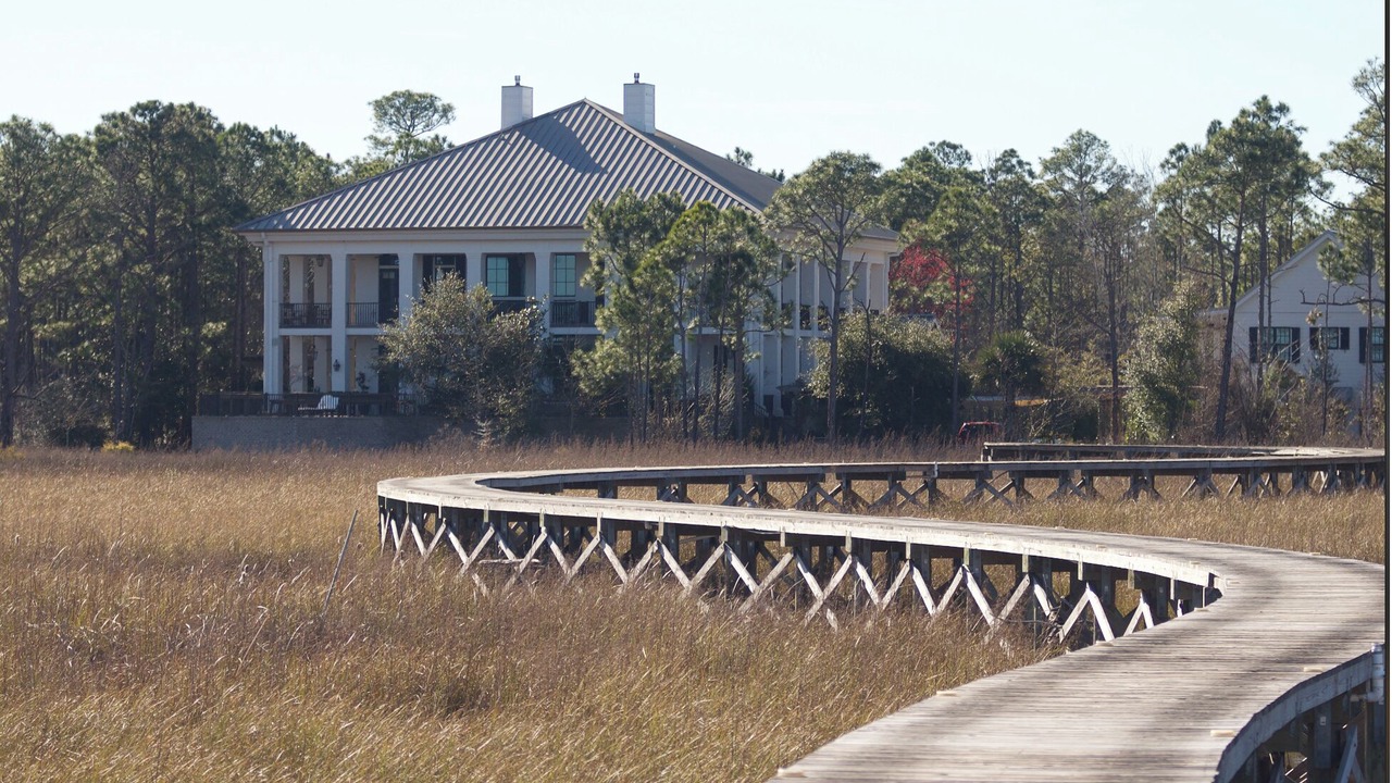 Photo of Others in Florida Panhandle