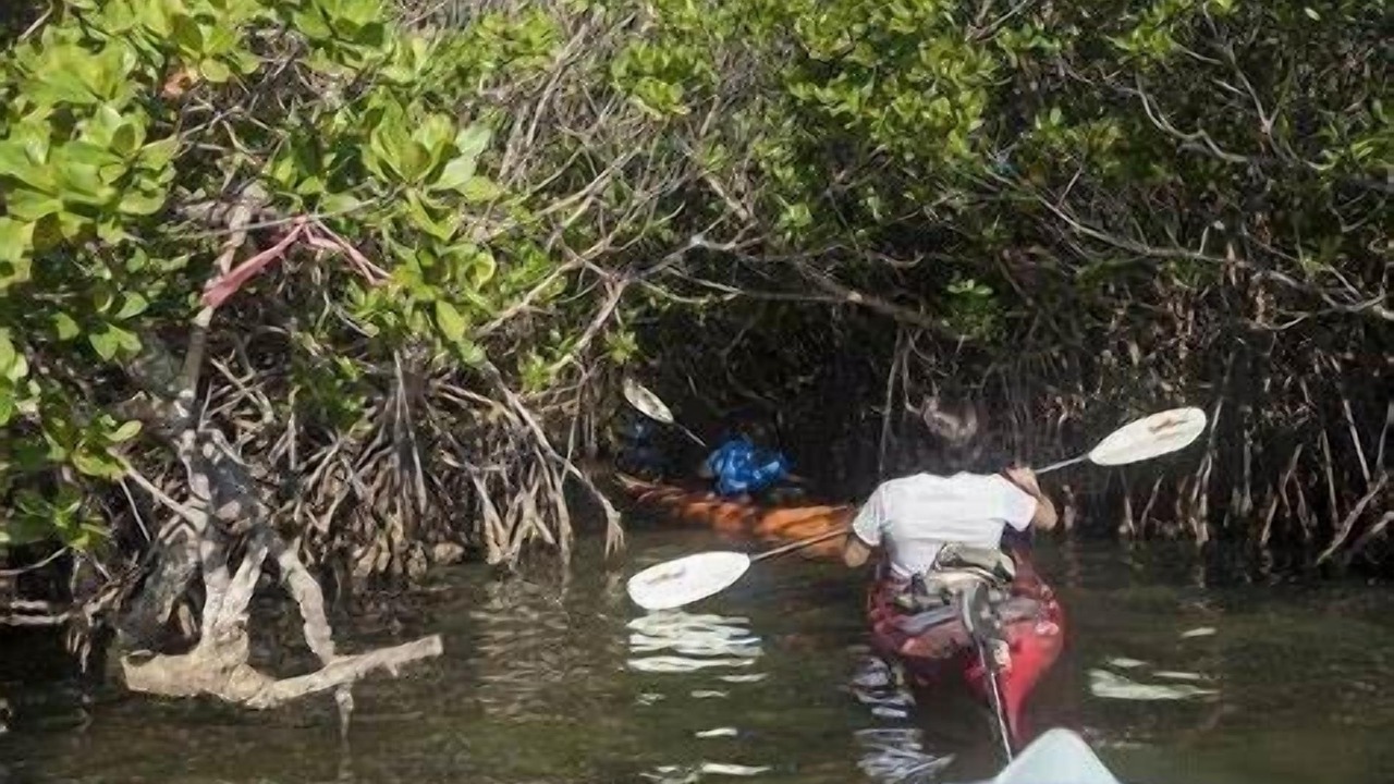 Photo of Others in Stuart