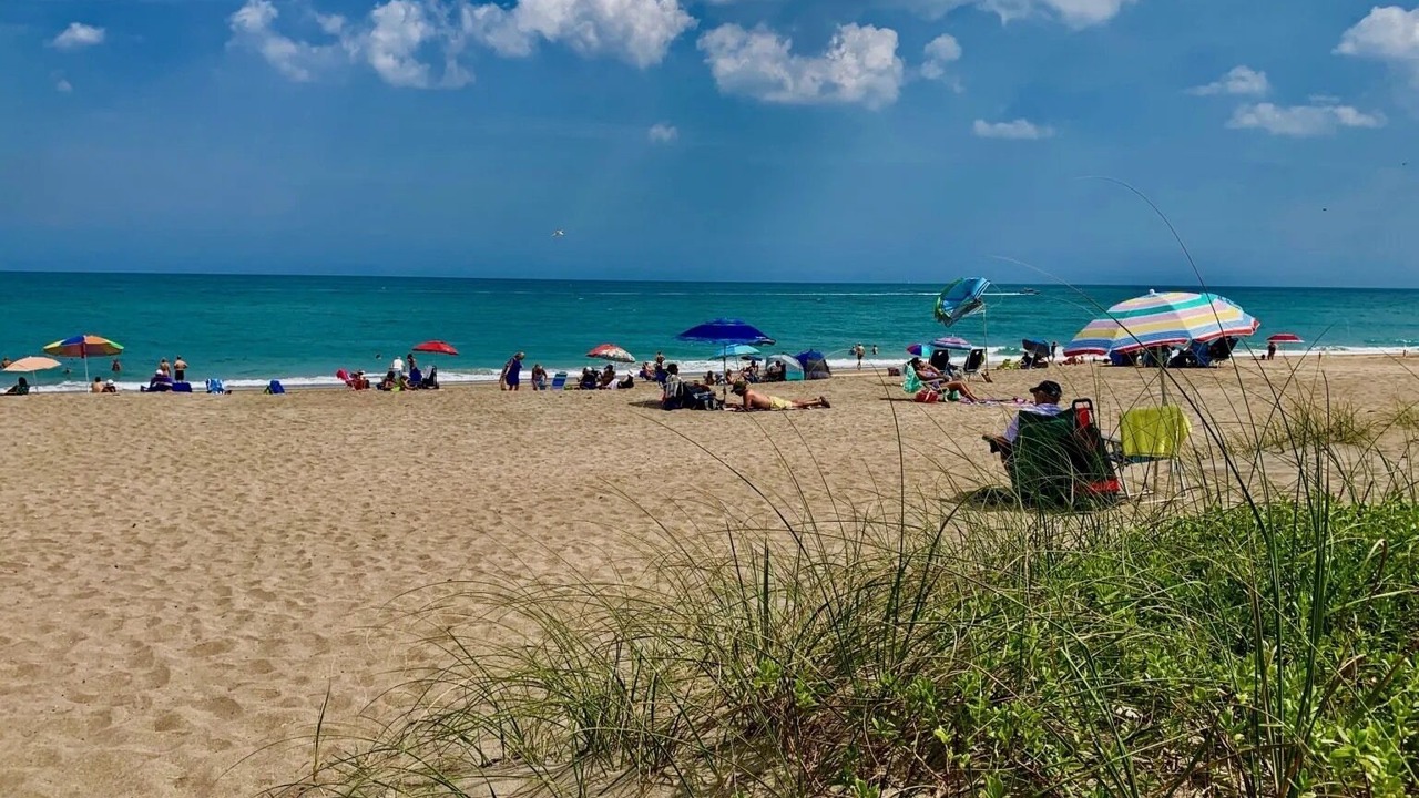 Photo of Others in Stuart