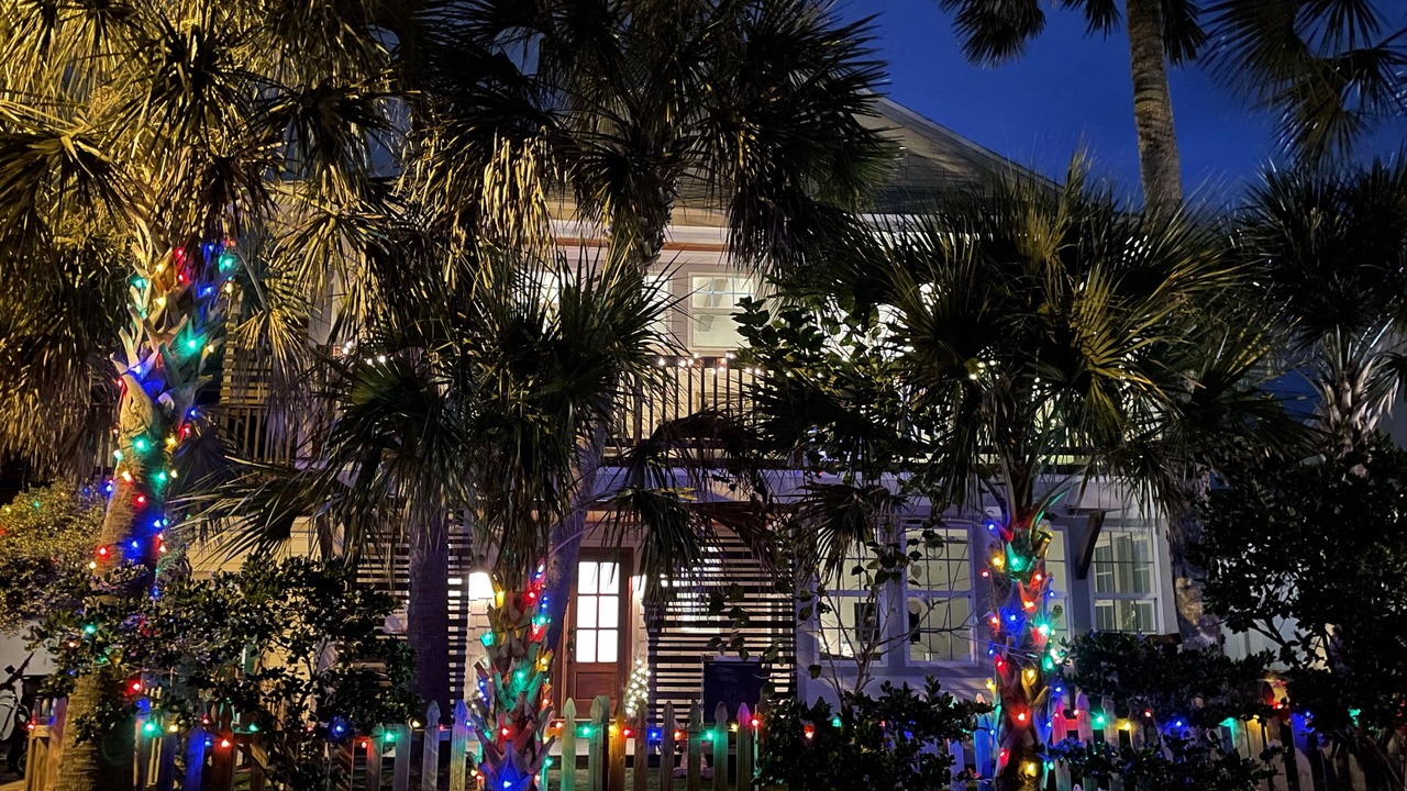 Photo of Outdoor in Neptune Beach