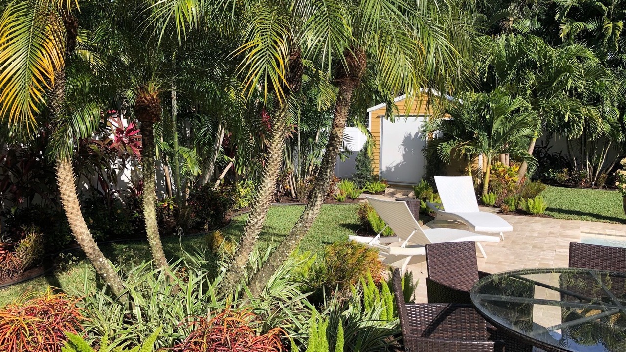 Photo of Outdoor in Poinsettia Heights